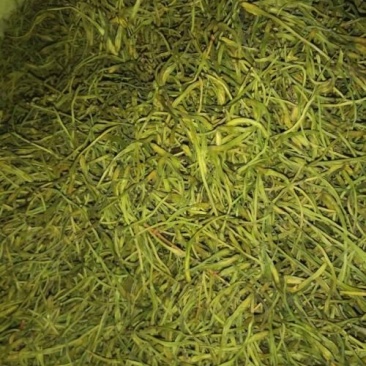 金银花色青花