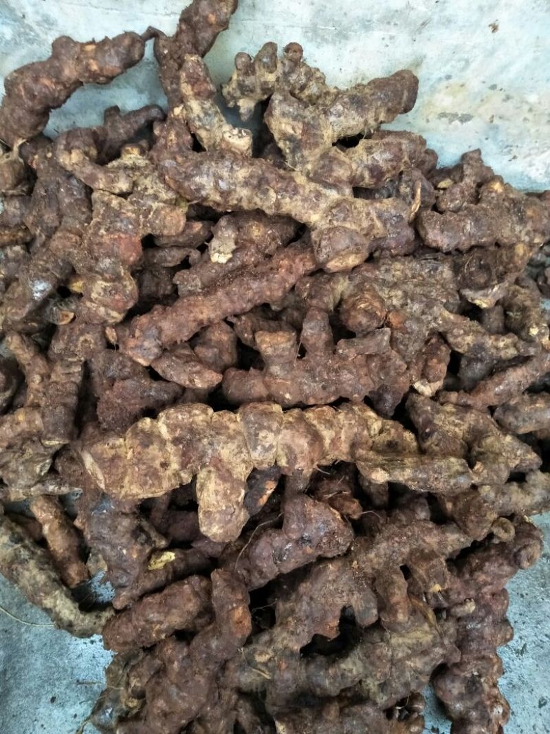 土茯苓，新鲜云南大土