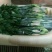 荷兰百合3~4凌源鲜花批发