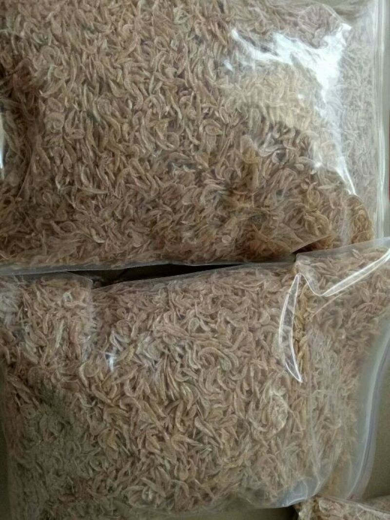 虾皮一级
