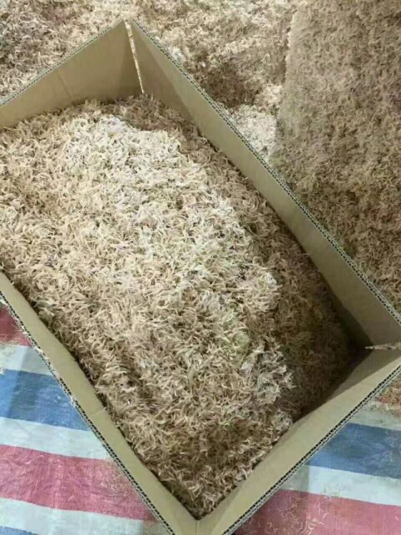 虾皮一级