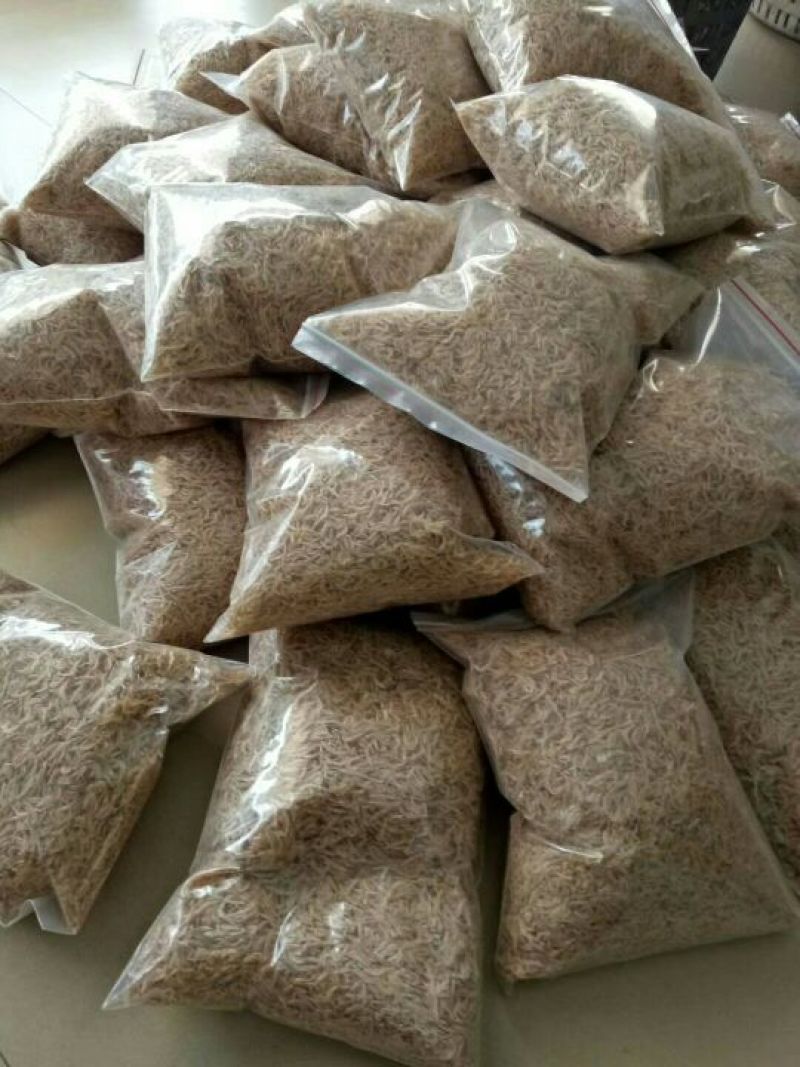 虾皮一级