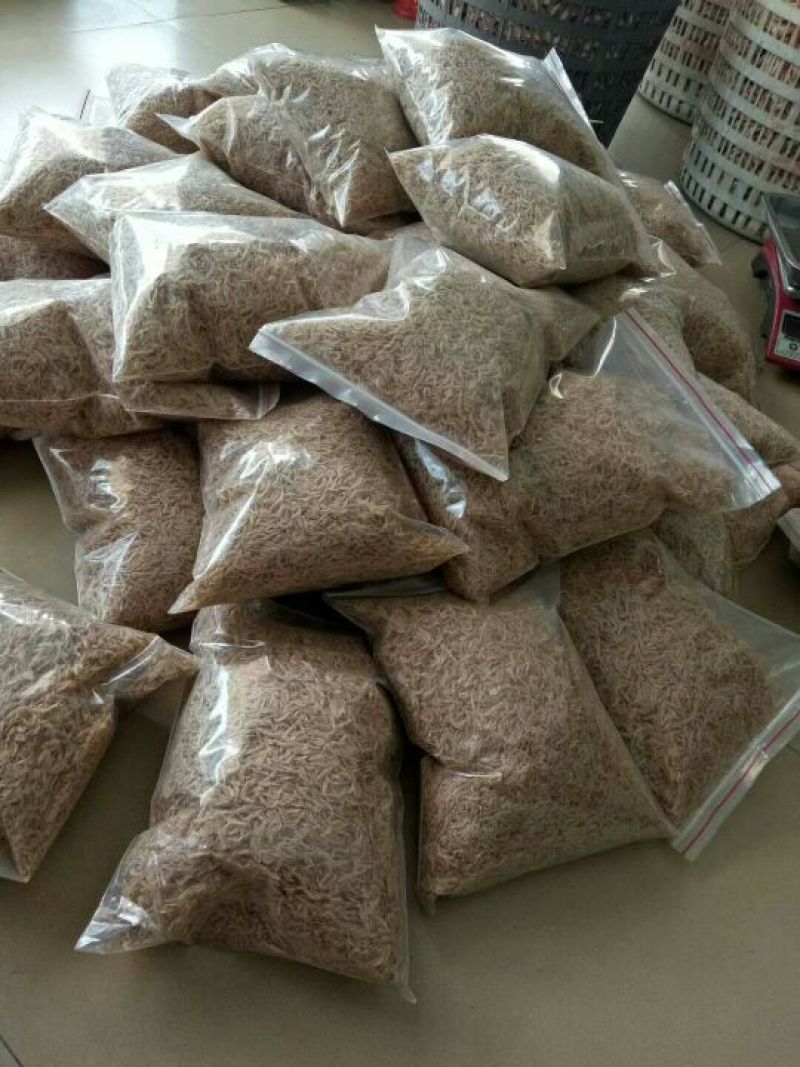 虾皮一级