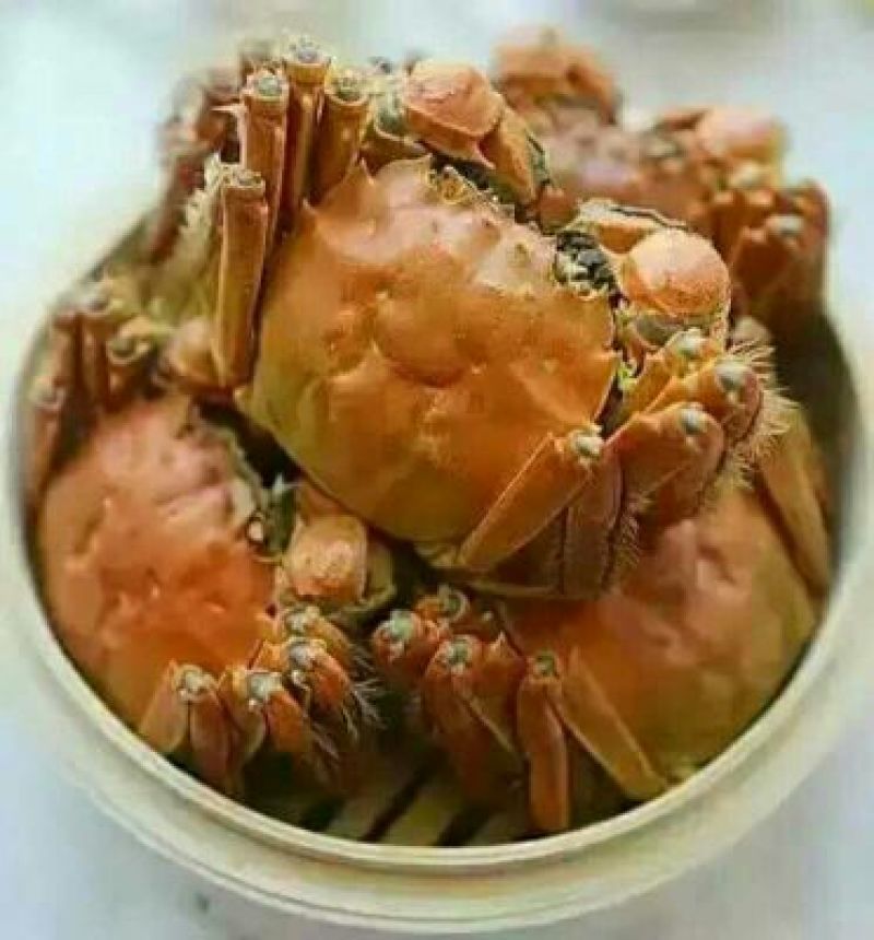兴化大闸蟹食用1.7-1.9两/只雌