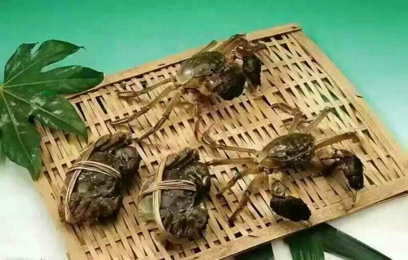 兴化大闸蟹食用3.0两/只雄