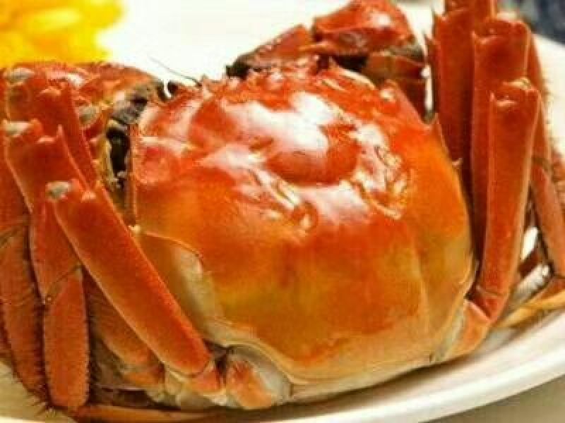 兴化大闸蟹食用3.0两/只雌