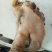 猪头肉散装