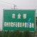 突尼斯软籽石榴树苗扦插一年小苗规格0.4到0.6