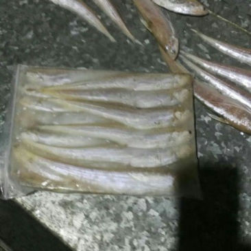 毛刀鱼食用冰鲜鱼