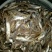 毛刀鱼食用冰鲜鱼