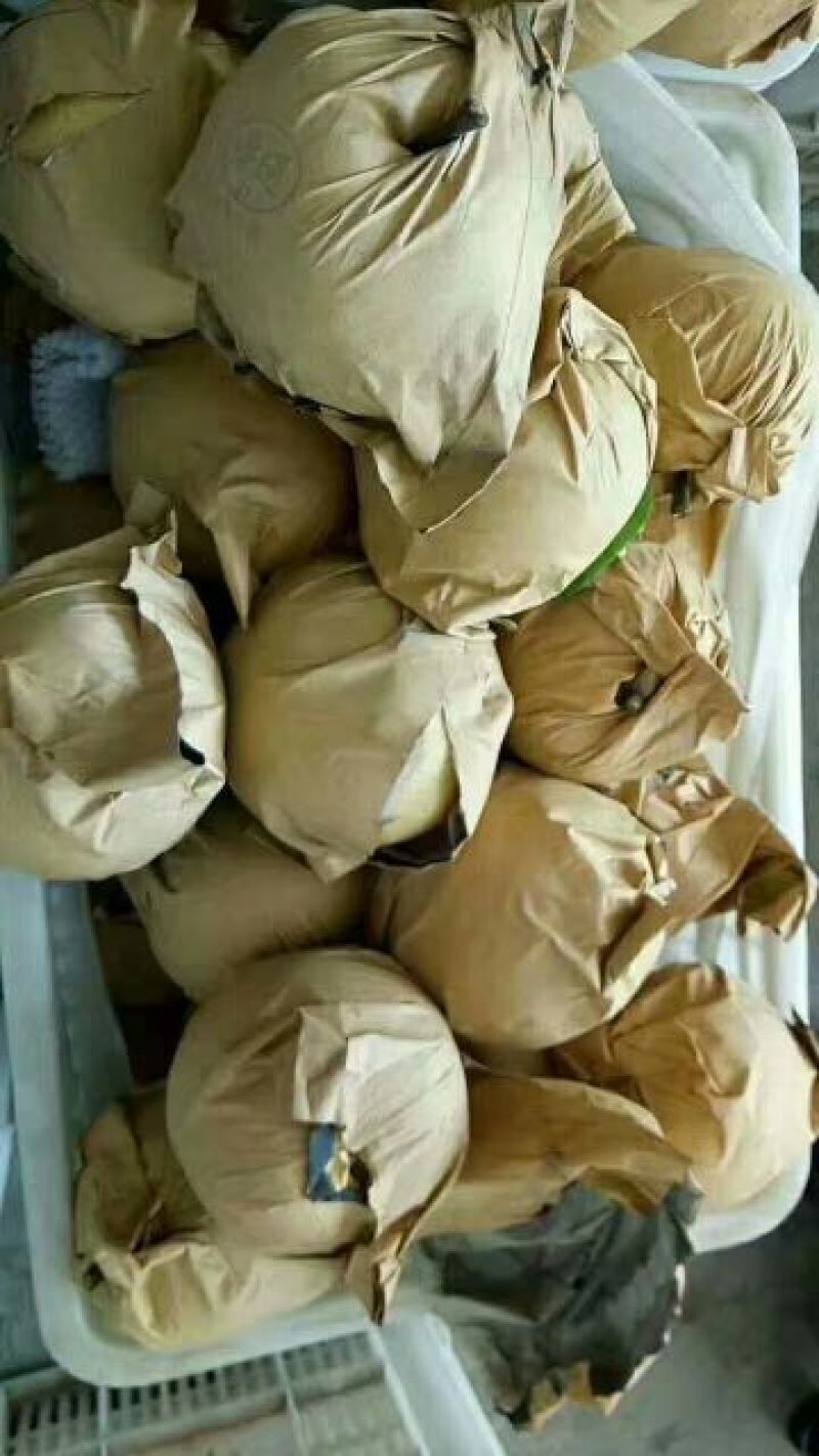 黄金梨纸袋250~300g