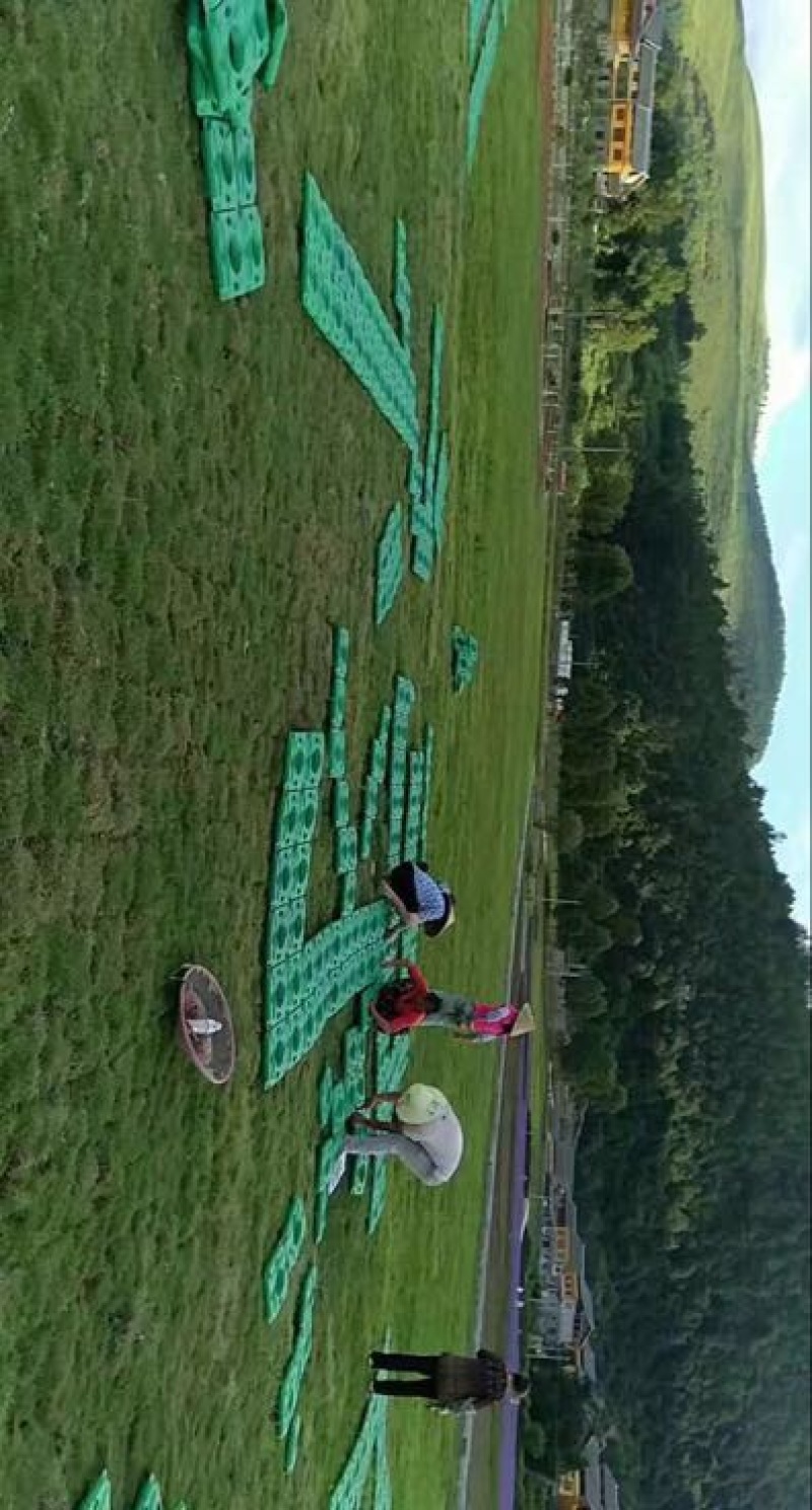 花盆树脂
