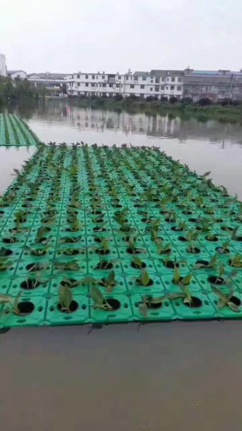 花盆树脂