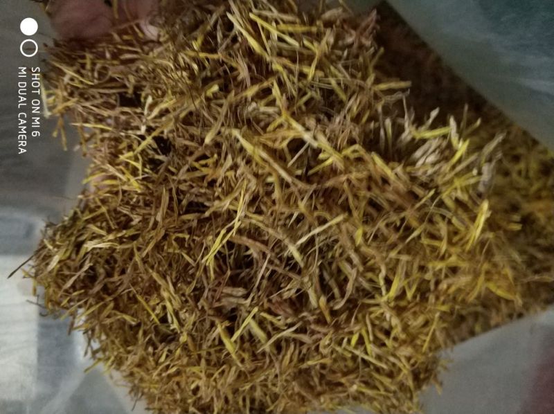 江西特产新鲜晒干莲须中药莲须色泽黄色莲须产地直发