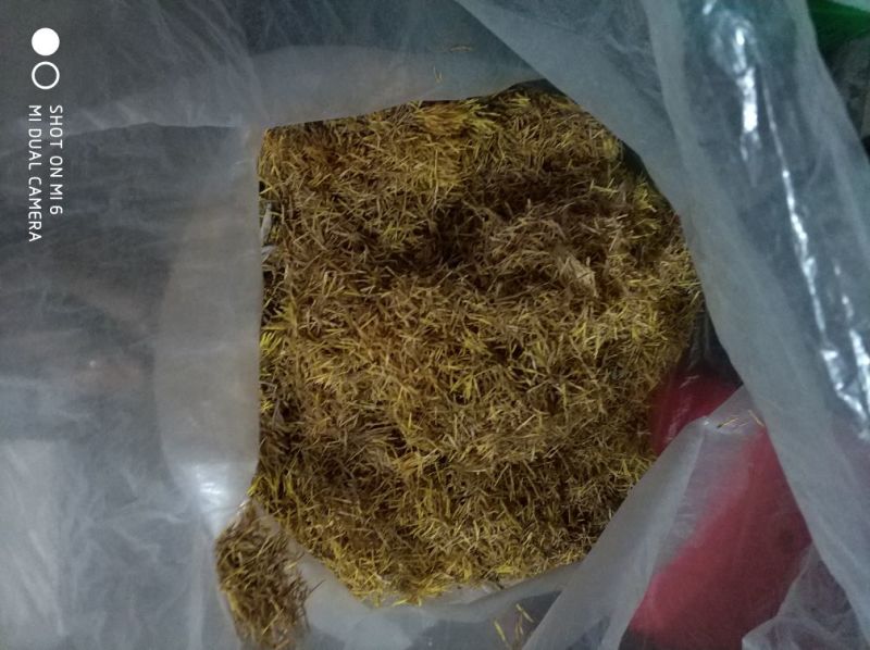 江西特产新鲜晒干莲须中药莲须色泽黄色莲须产地直发