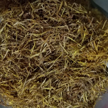 江西特产新鲜晒干莲须中药莲须色泽黄色莲须产地直发