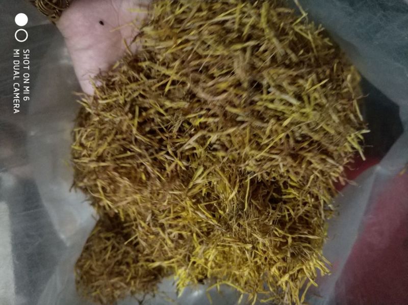 江西特产新鲜晒干莲须中药莲须色泽黄色莲须产地直发