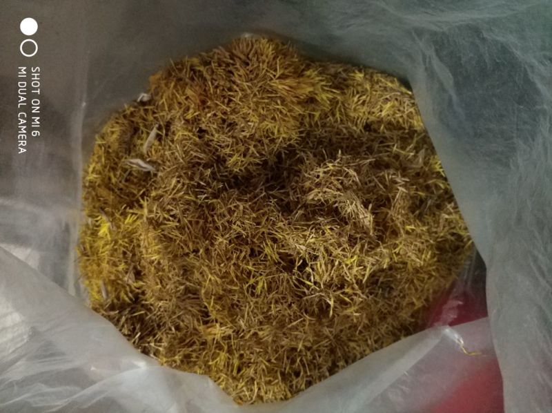 江西特产新鲜晒干莲须中药莲须色泽黄色莲须产地直发