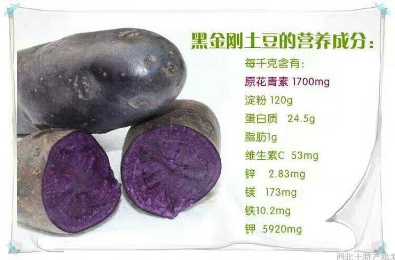 黑土豆2两以上精品
