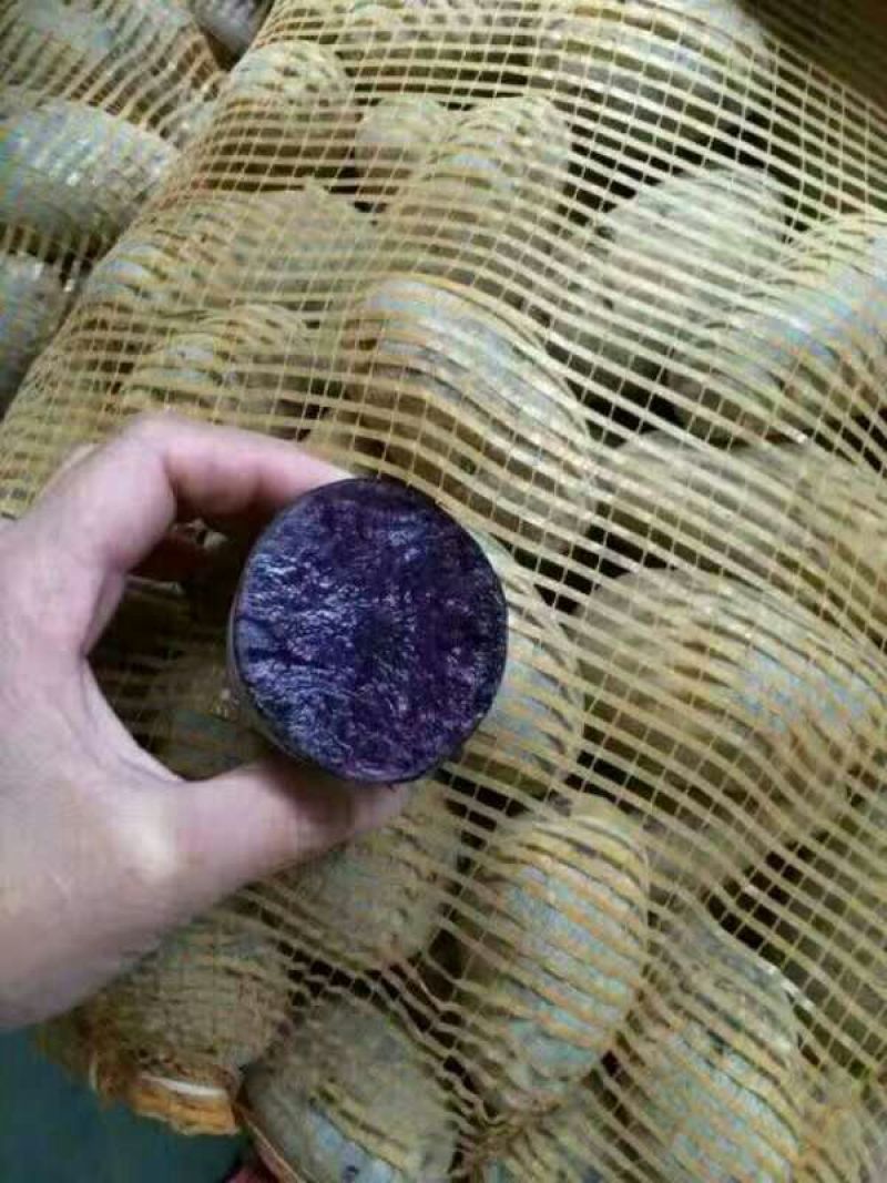 黑土豆2两以上精品