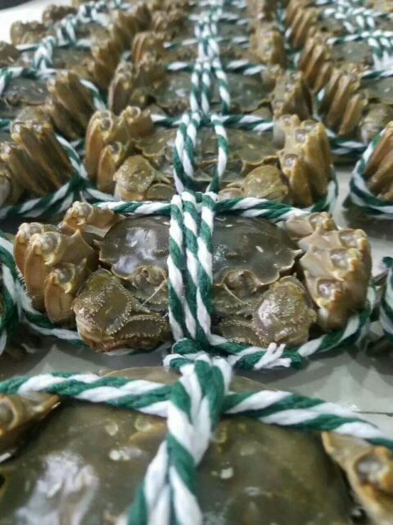 天津紫蟹食用1.7-1.9两(85g-95g)/雌