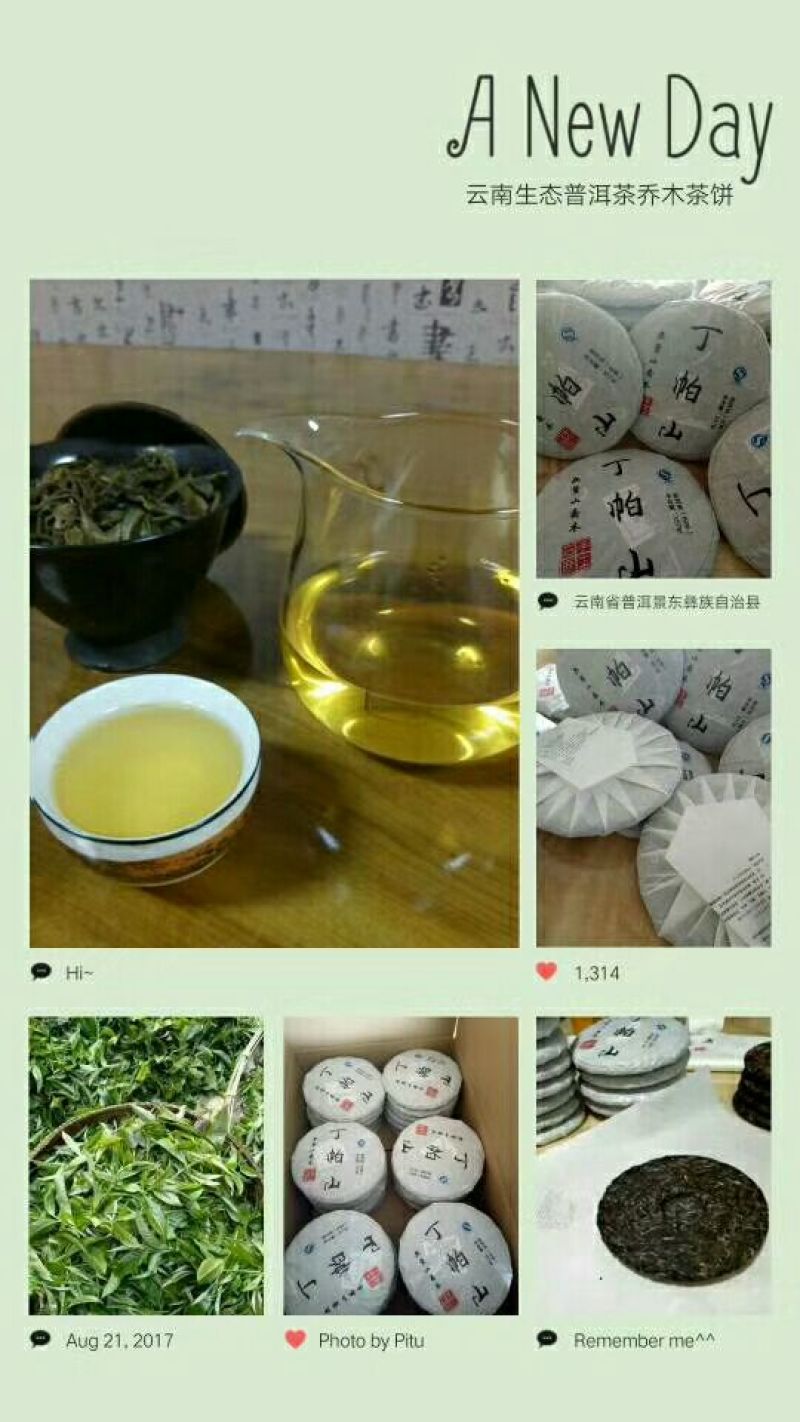 普洱茶一级