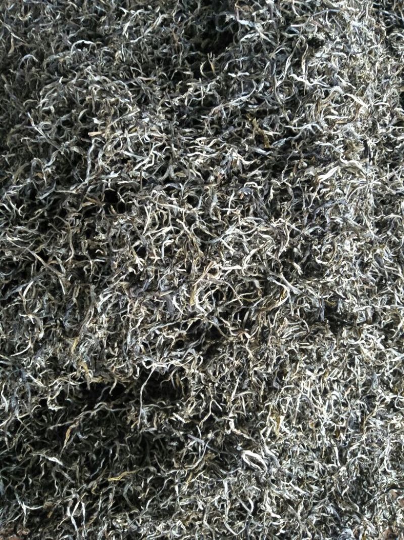 普洱茶一级