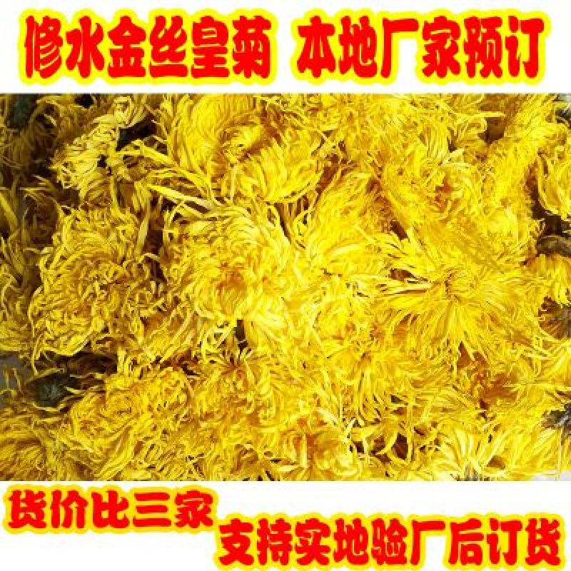 金丝皇菊茶特级