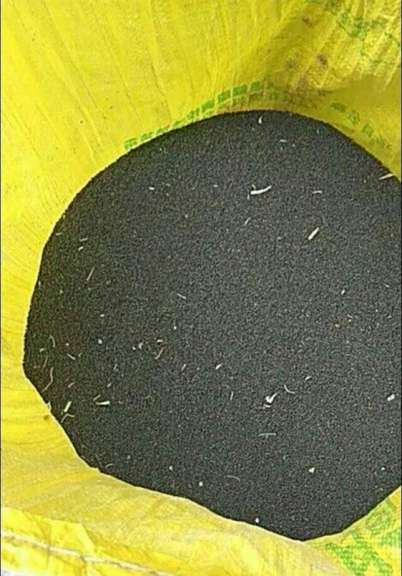 油菜籽1级