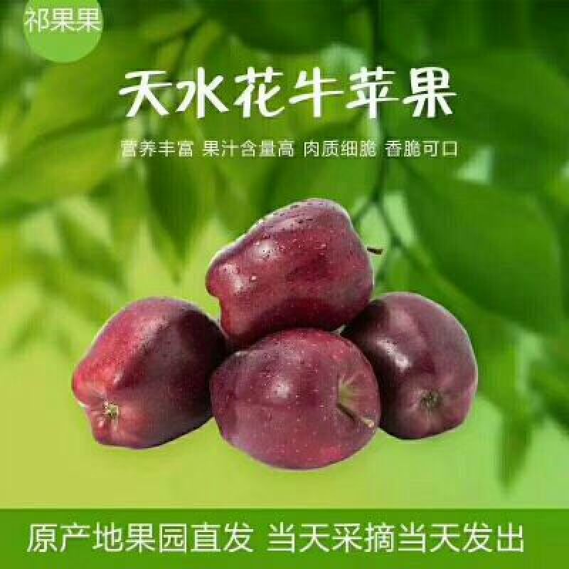 花牛75以上光果