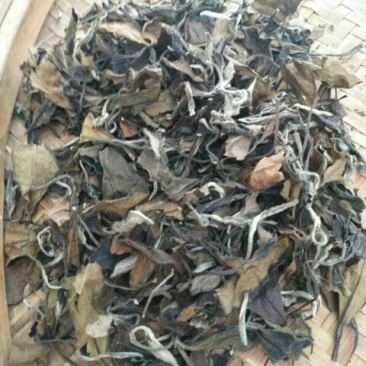 福鼎白茶一级