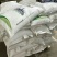 早熟禾种子20克/平方四季青种子冷季型进口