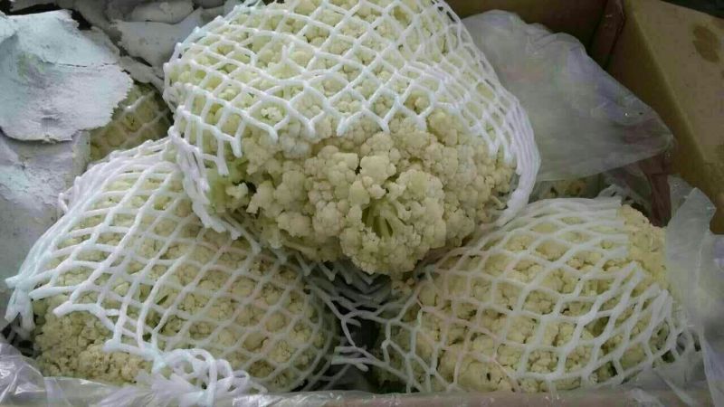菜花适中乳白2斤本地长年供应各种蔬菜