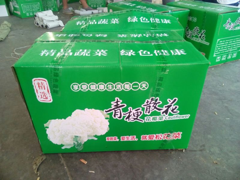 菜花适中乳白2斤本地长年供应各种蔬菜