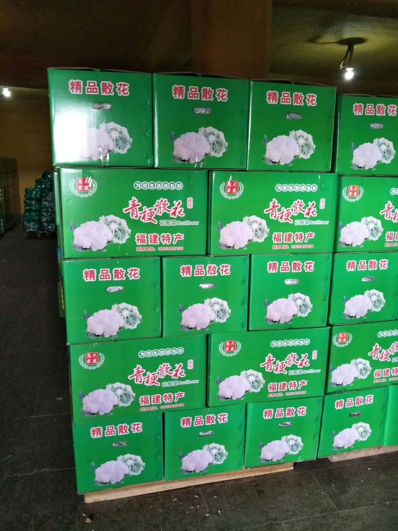 产地直供//大量上市//欢迎咨询//精品有机花