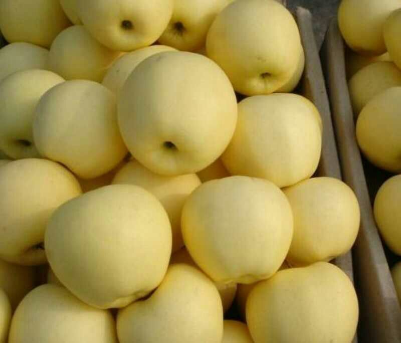 花牛75mm以上光果