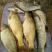 鲤鱼1~2公斤食用