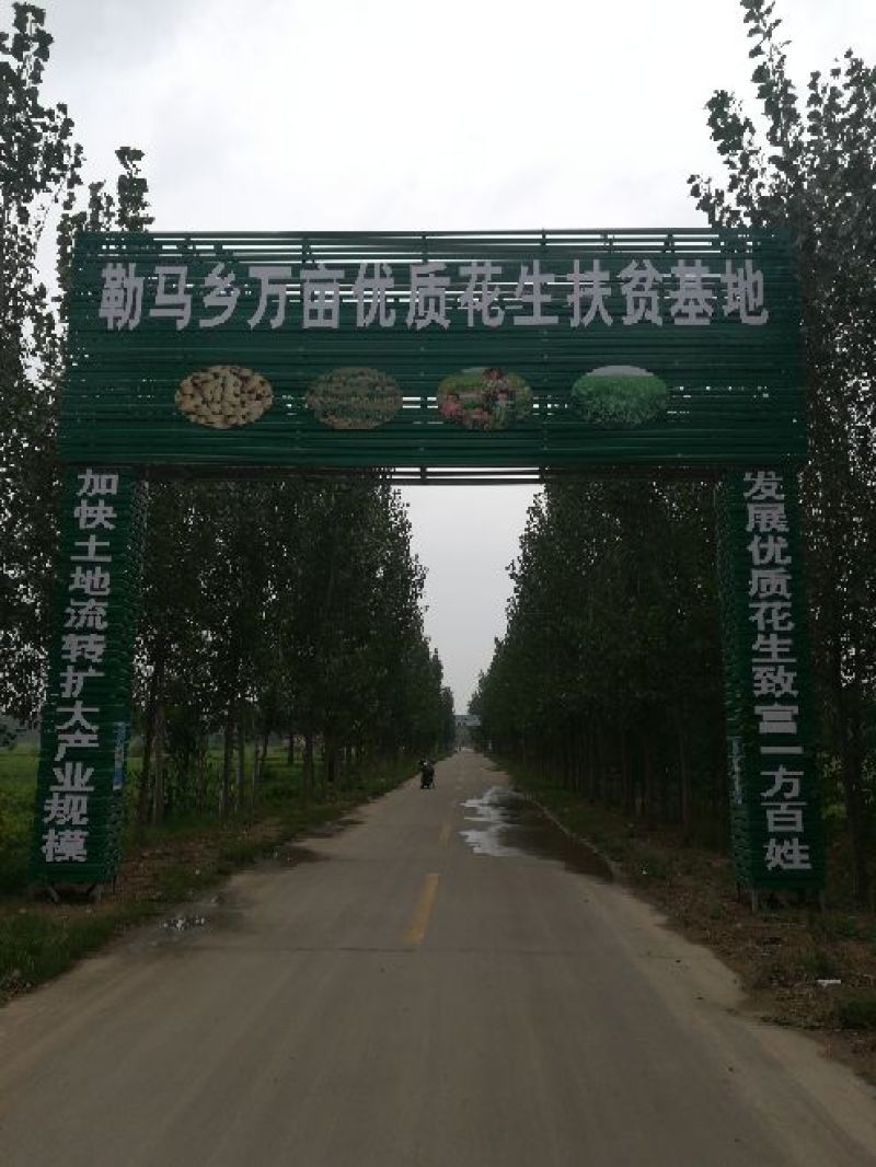 花生鲜货带壳