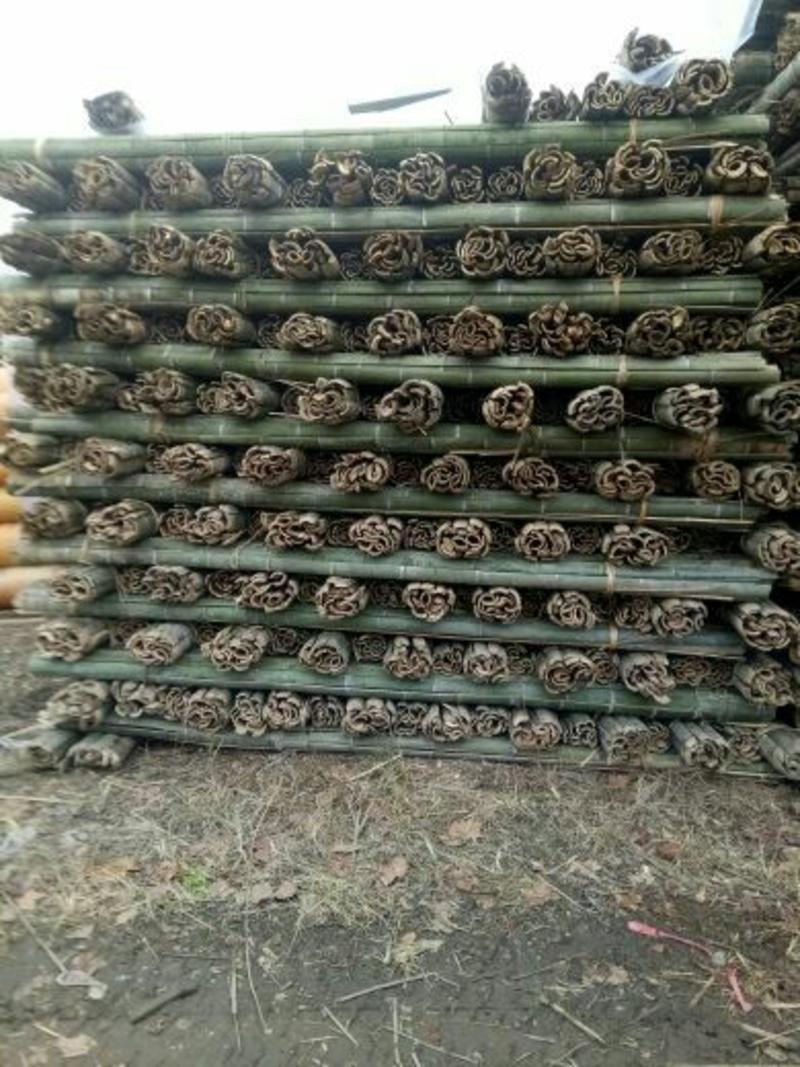 大棚竹片，竹架板，竹尾，楠竹，竹子，竹竿，产地批发