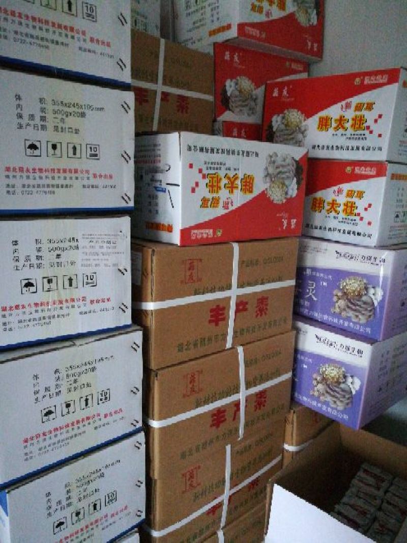 平菇菌种平菇原种，栽培种。