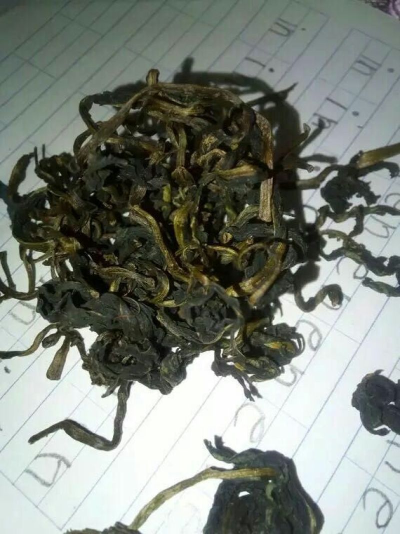 蒲公英茶河南1公斤起批无硫无添加不包邮只做正品