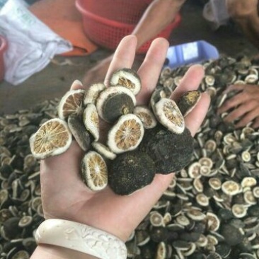 积壳