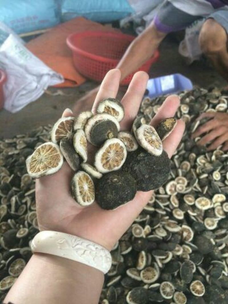 积壳