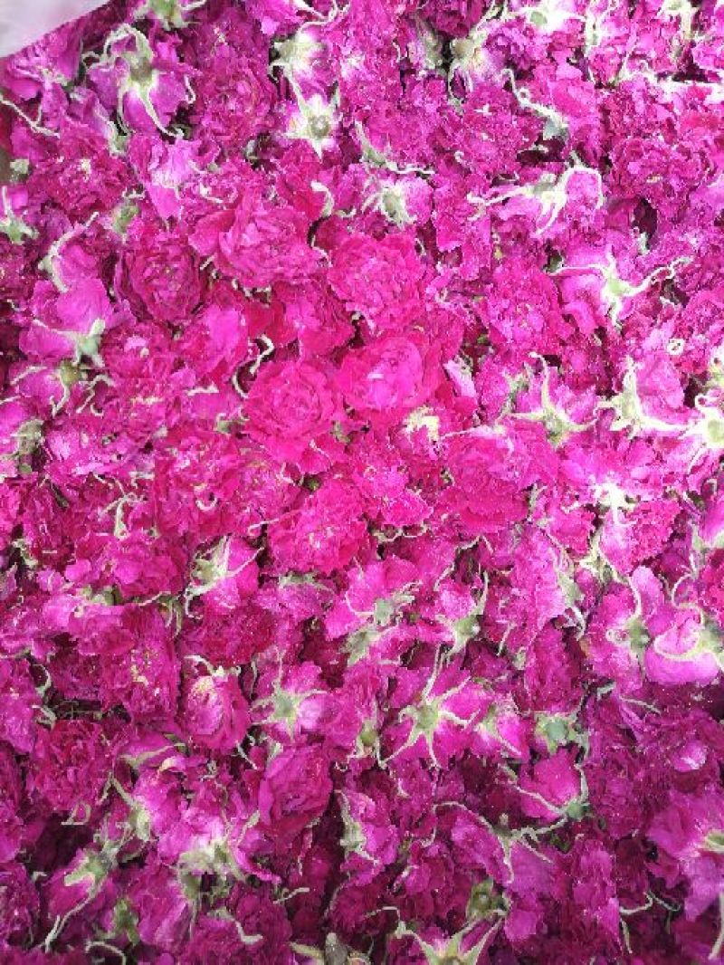 玫瑰花茶一级