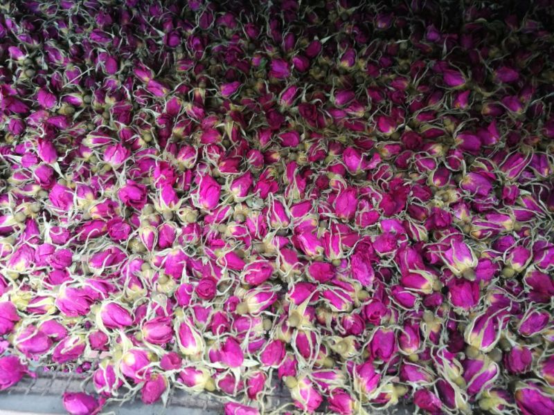 玫瑰花茶一级