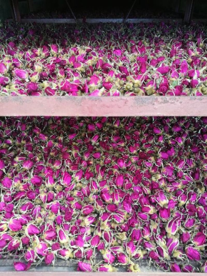 玫瑰花茶一级