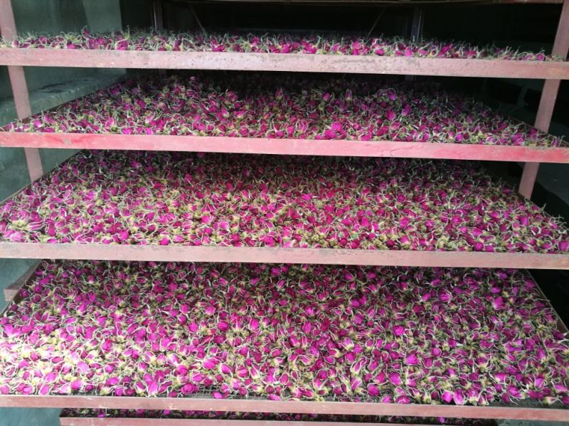 玫瑰花茶一级