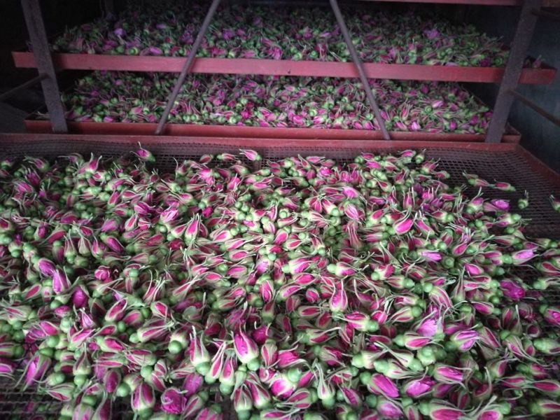 玫瑰花茶一级