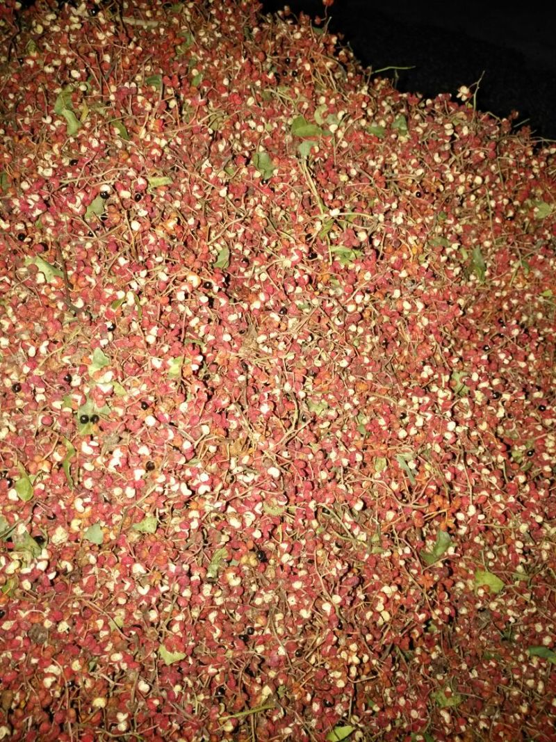 大红袍花椒一级干