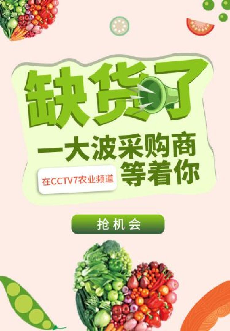柚子2斤以上